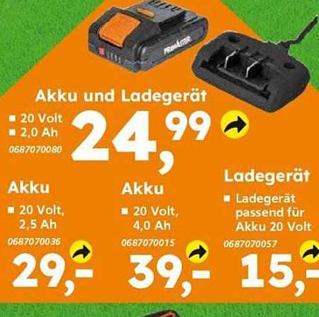 Akku und Ladegerät