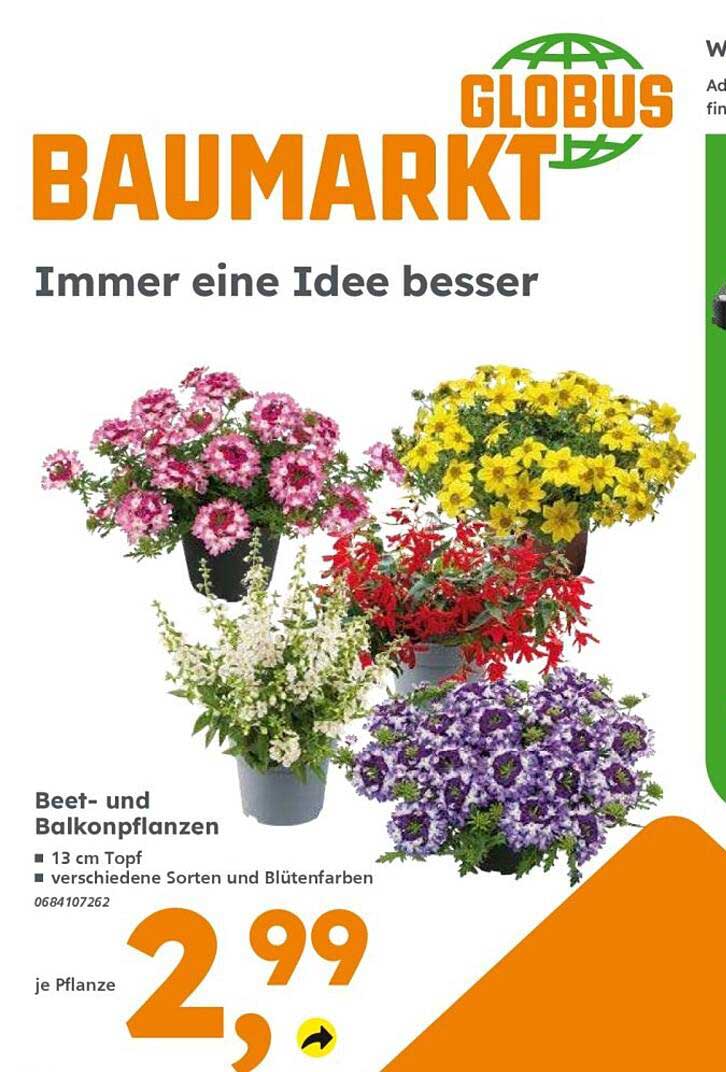 Beet- und Balkonpflanzen