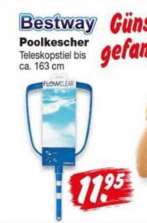 Bestway Poolkescher Teleskopstiel bis ca. 163 cm