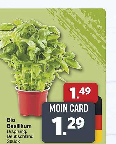 Bio Basilikum