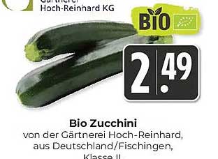 Bio Zucchini