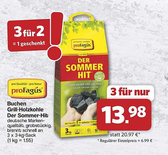 Buchen Grill-Holzkohle Der Sommer-Hit