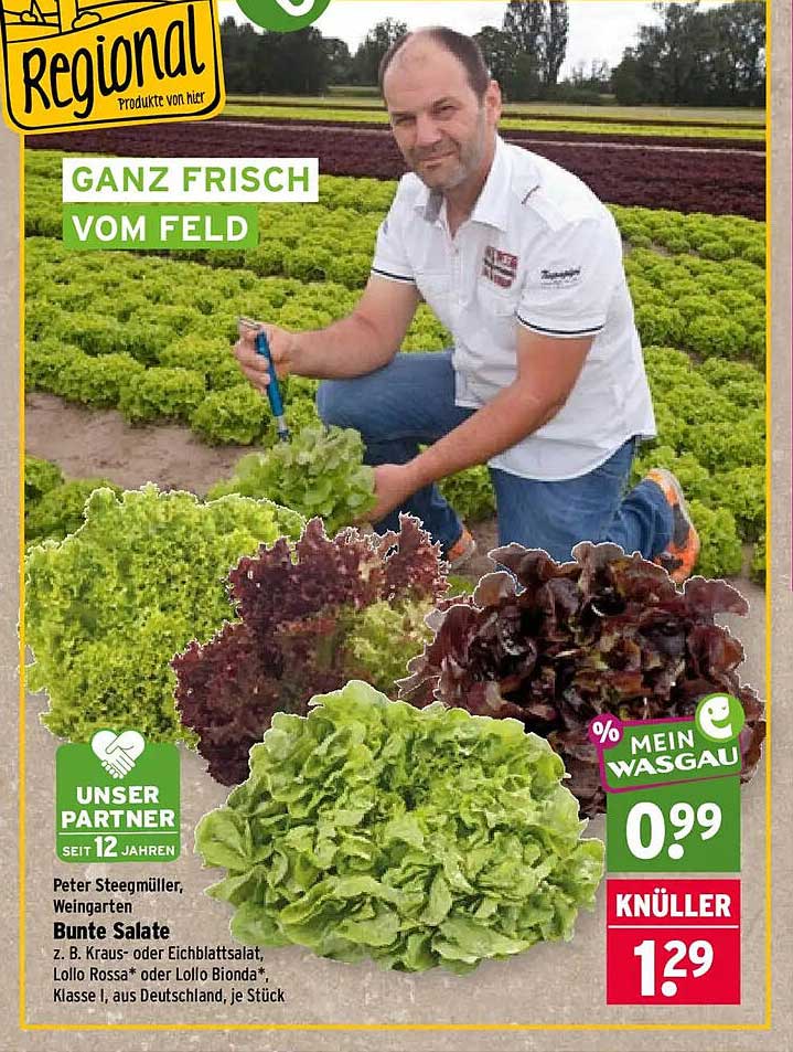 Bunte Salate