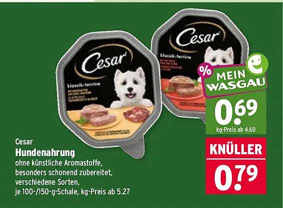 Cesar Hundenahrung