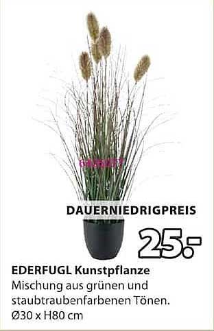 DAUERNIEDRIGPREIS