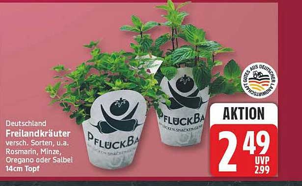 Deutschland Freilandkräuter versch. Sorten, u.a. Rosmarin, Minze, Oregano oder Salbei 14cm Topf
