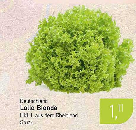 Deutschland Lollo Bionda HKL I, aus dem Rheinland Stück