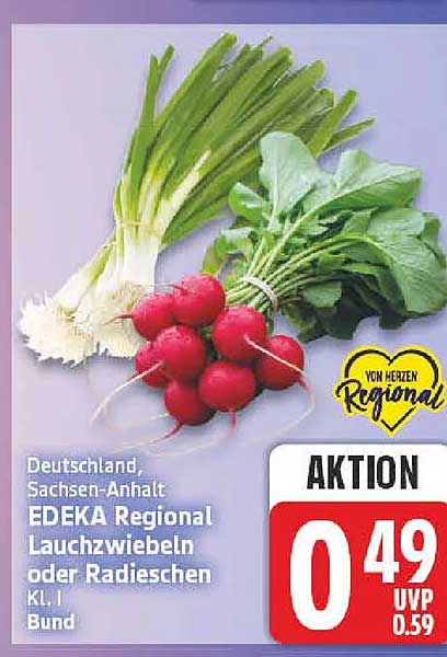 Deutschland, Sachsen-Anhalt EDEKA Regional Lauchzwiebeln oder Radieschen Kl. I Bund