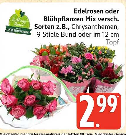 Edelrosen oder Blühpflanzen Mix versch. Sorten z.B., Chrysanthemen, 9 Stiele Bund oder im 12 cm Topf