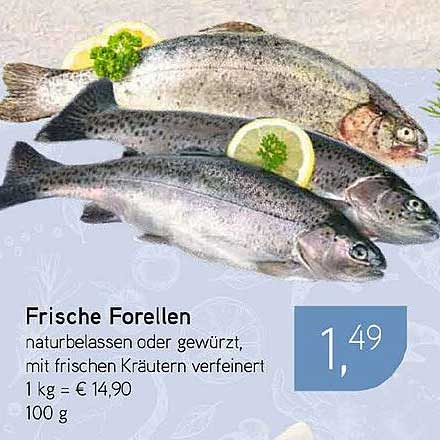 Frische Forellen