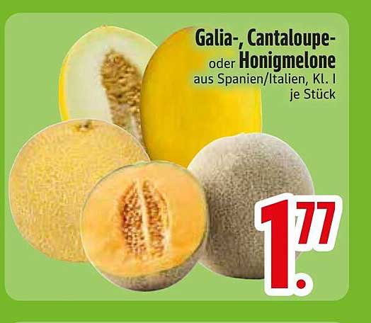Galia-, Cantaloupe- oder Honigmelone aus Spanien/Italien, Kl. I je Stück