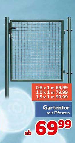Gartentor mit Pfosten