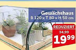 Gewächshaus B 120 x T 80 x H 50 cm