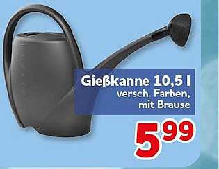 Gießkanne 10,5 l versch. Farben, mit Brause