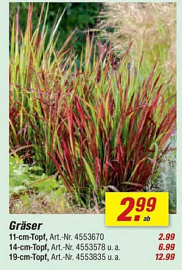 Gräser