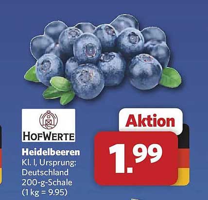 Heidelbeeren