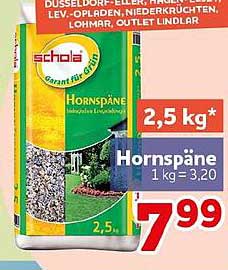 Hornspäne