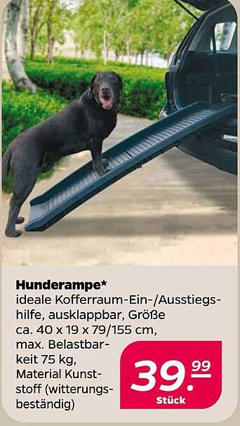Hunderampe*