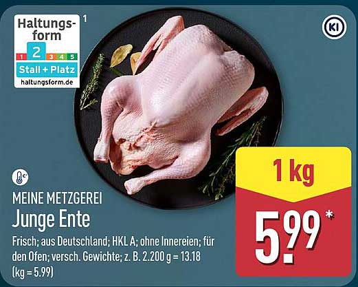 Junge Ente