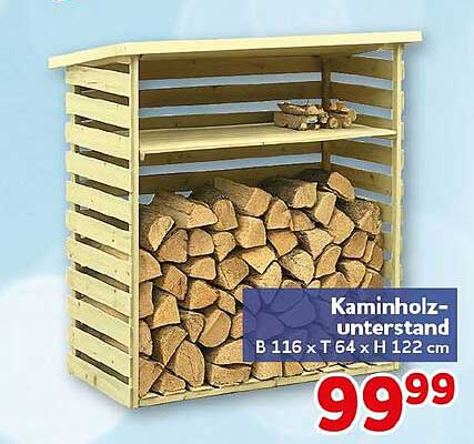Kaminholz-Unterstand B 116 x T 64 x H 122 cm