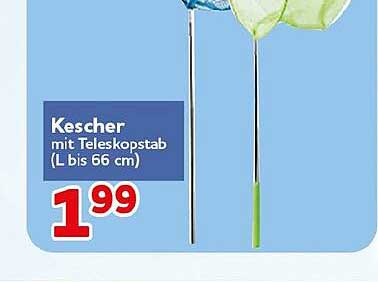 Kescher mit Teleskopstab (L bis 66 cm)