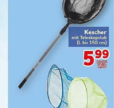 Kescher mit Teleskopstiel (L bis 150 cm)