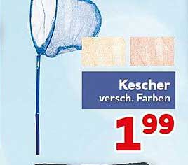 Kescher versch. Farben