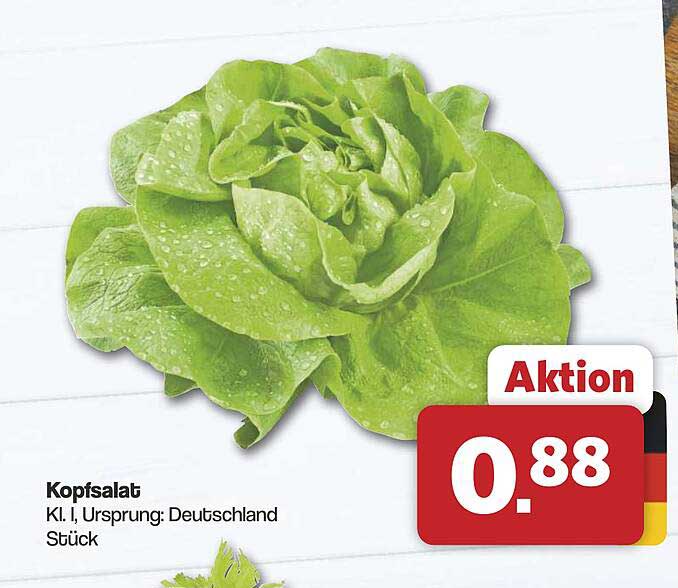 Kopfsalat