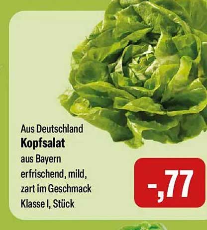 Kopfsalat