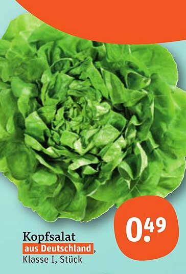Kopfsalat aus Deutschland, Klasse I, Stück