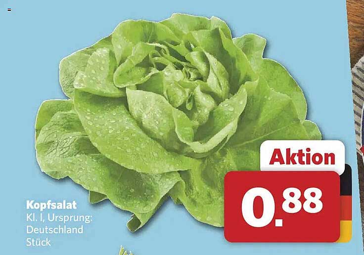 Kopfsalat Kl. I, Ursprung: Deutschland Stück