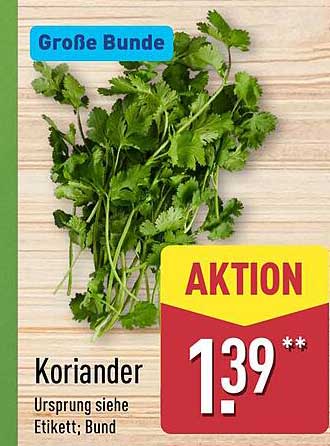Koriander