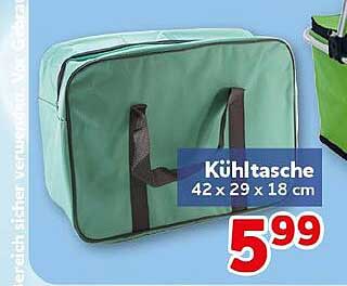 Kühltasche 42 x 29 x 18 cm