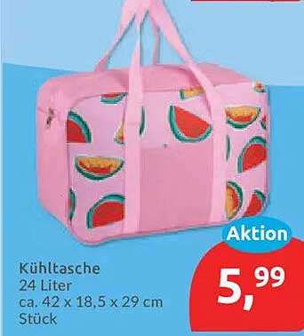 Kühltasche