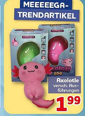 MEEEEEEGA-TRENDARTIKEL