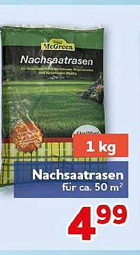 Nachsaatrasen
