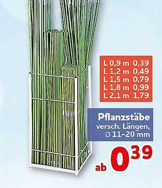 Pflanzstäbe versch. Längen, Ø 11–20 mm