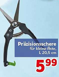Präzisionsschere für kleine Äste, L 20,5 cm