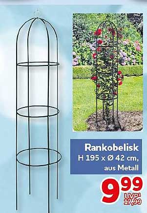 Rankobelisk