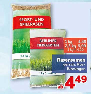 Rasensamen versch. Ausführungen
