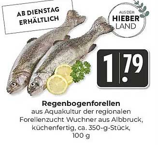 Regenbogenforellen