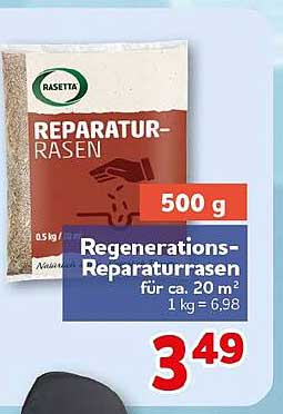REPARATUR-RASEN