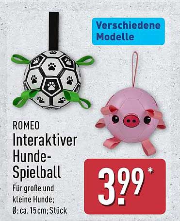 ROMEO Interaktiver Hunde-Spielball