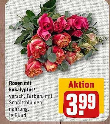 Rosen mit Eukalyptus¹