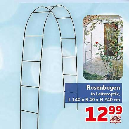 Rosenbogen in Leiteroptik, L 140 x B 40 x H 240 cm
