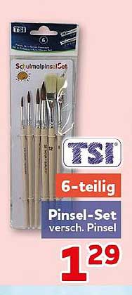 TSI 6-teilig Pinsel-Set versch. Pinsel
