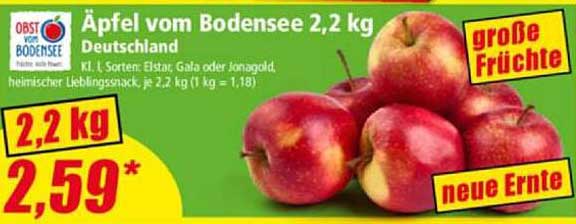 Äpfel vom Bodensee 2,2 kg