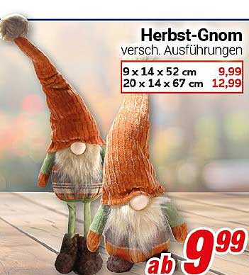 Herbst-Gnom - verschiedene Ausführungen