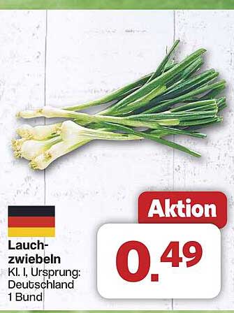 Lauchzwiebeln - Klasse I, aus Deutschland, 1 Bund