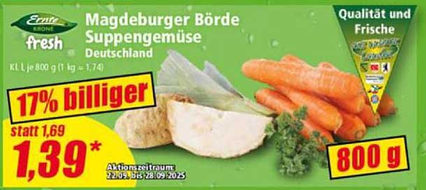 Magdeburger Börde Suppengemüse